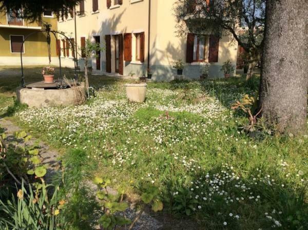 Casa Olinda Apartman Lazise Kültér fotó